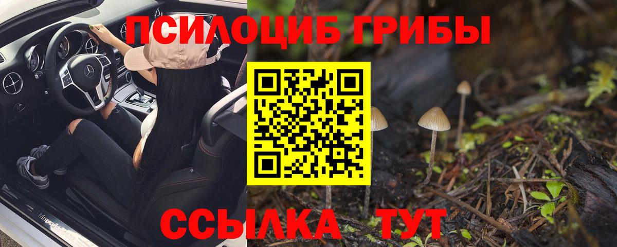Галлюциногенные грибы Magic Shrooms  Галлюциногенные грибы Psilocybine cubensis  Вход с VPN  Краснокаменск 